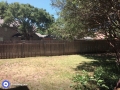 backyard1