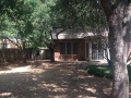 backyard2